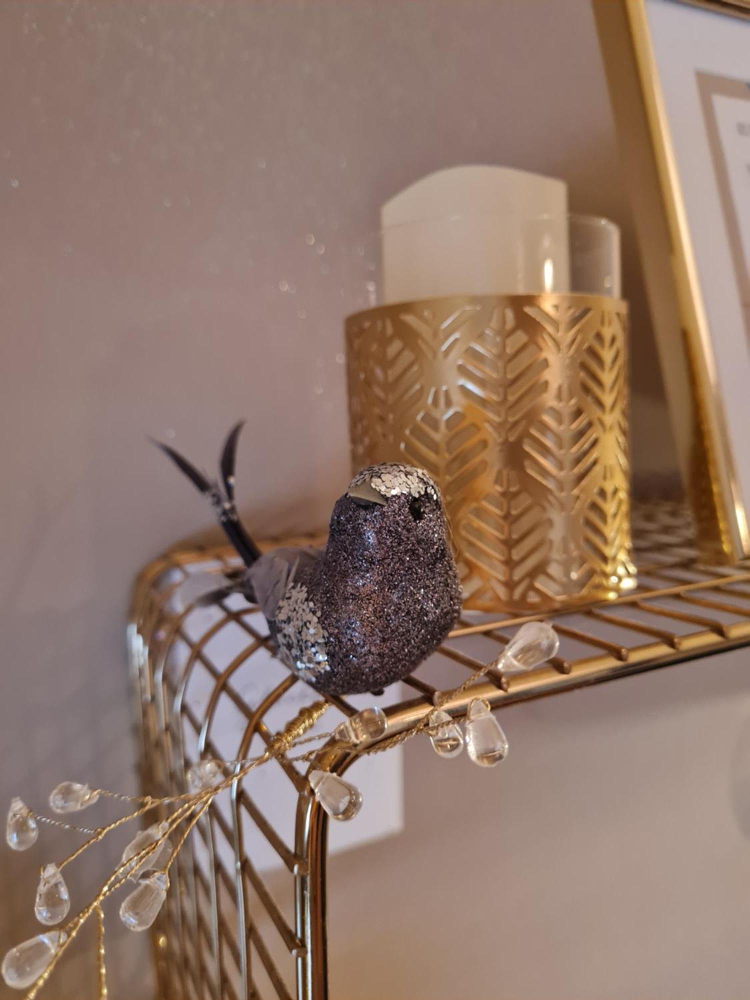 Your Little Sparkle Room "For Woman Only !" Вена Экстерьер фото